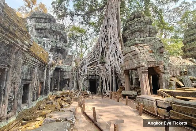 Ta Prohm Temple, Angkor Eye – Angkor Eye Tickets and Prices