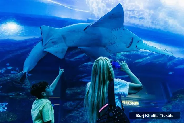 Burj Khalifa Entry Tickets – Aquarium & Burj Khalifa Levels 124 & 125 Combo Ticket