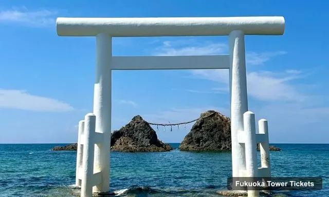 Fukuoka Tower Tickets – Itoshima Waterfall and Fukuoka Tower Tour
