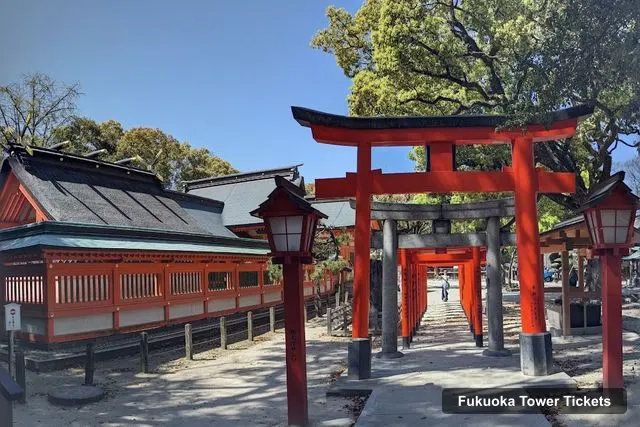 Sumiyoshi Shrine, Fukuoka Tower – Fukuoka Tower Observation Deck Tickets