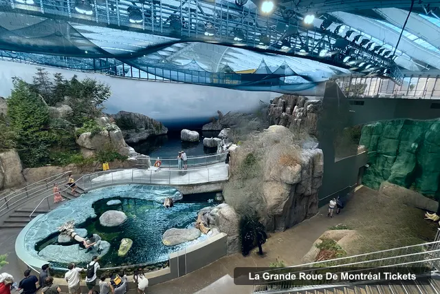 Montreal Biodome, La Grande Roue de Montréal – La Grande Roue de Montréal Tickets and Prices