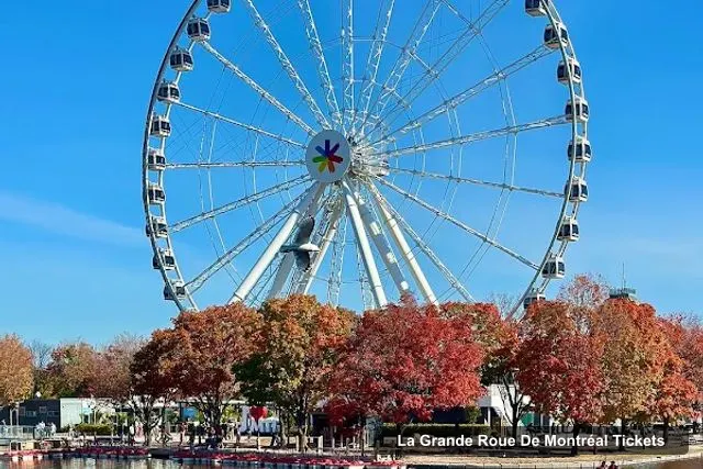 Old Montreal City, La Grande Roue de Montréal – La Grande Roue De Montréal Tickets
