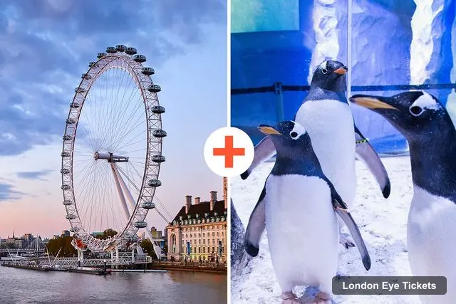 London Eye Tickets and Prices – SEA LIFE & London Eye Combo Ticket