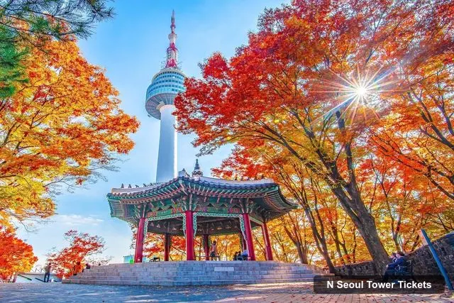 N Seoul Tower Observatory Tickets – N Seoul Tower Observatory & Cable Car Combo Ticket