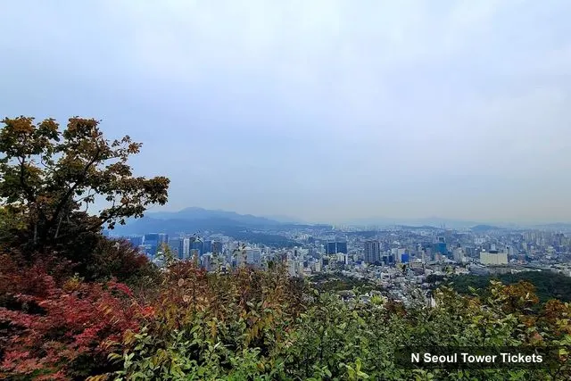 Namsan Mountain Park, N Seoul Tower – N Seoul Tower Observatory Tickets
