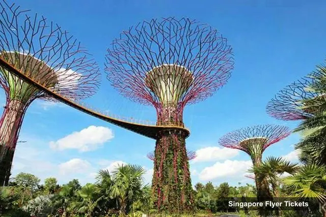 Flower Dome, Singapore Flyer – Singapore Flyer Tickets