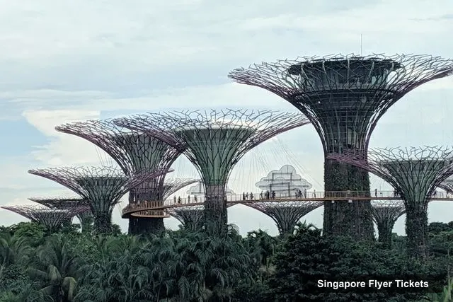 Gardens by the Bay, Singapore Flyer – Singapore Flyer Tickets