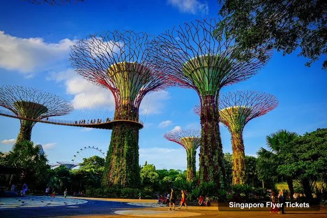 Supertree Grove, Singapore Flyer – Singapore Flyer Tickets and Prices