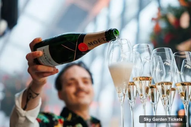 Sky Garden Tickets – Sky Garden Music Night Ticket & Glass of Fizz