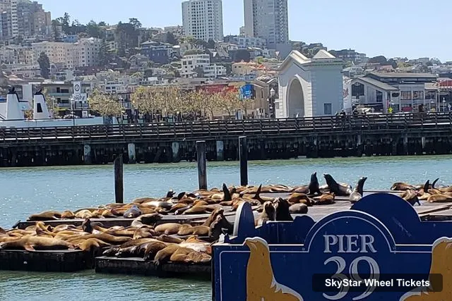 PIER 39, SkyStar Wheel – SkyStar Wheel Tickets