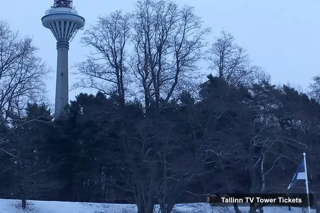 Tallinn TV Tower Observation Deck Tickets – Tallinn TV tower and Botanic garden (a tour with a guide)
