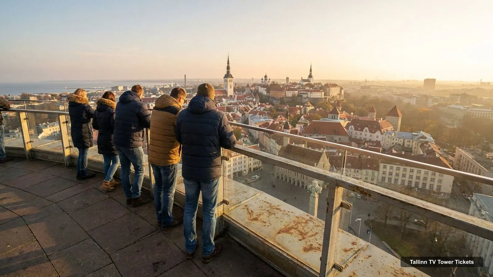 Tallinn TV Tower Tickets – view from the observation deck over Freedom Square