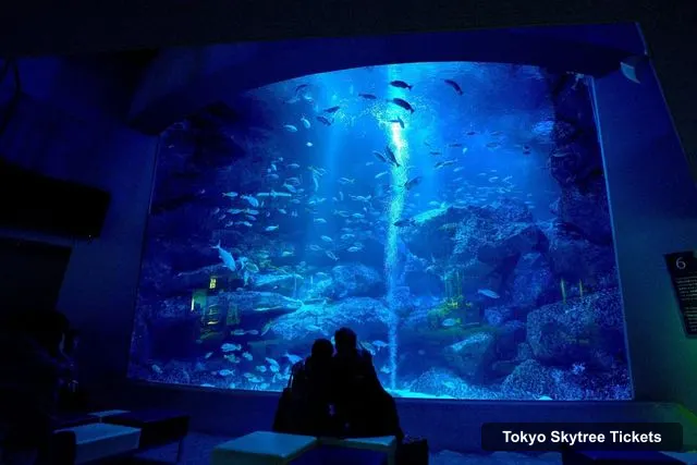 Tokyo Skytree Observation Deck Tickets – TOKYO SKYTREE® Admission Ticket with Sumida Aquarium Entry