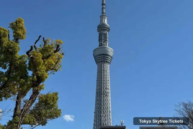 Tokyo Skytree Tickets and Prices – Private Tokyo Skytree Tour with Entry Ticket