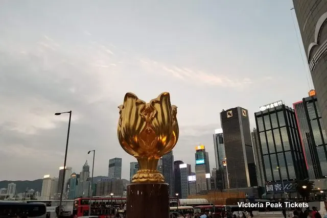 Golden Bauhinia Square, Victoria Peak – Victoria Peak Observation Deck Tickets
