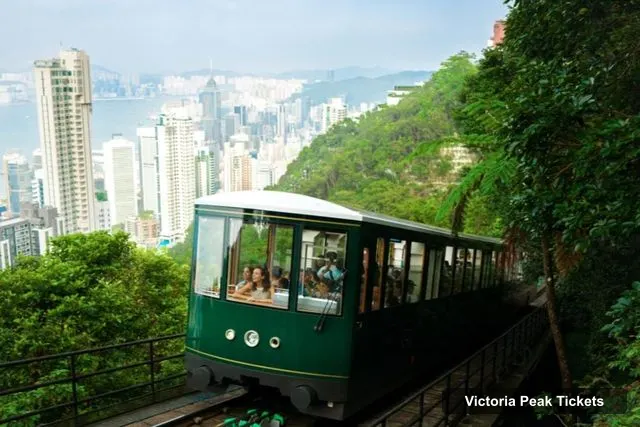 Victoria Peak Tickets – (N1)Hong Kong: Night Walking Tour, Tram Ride & Victoria Peak