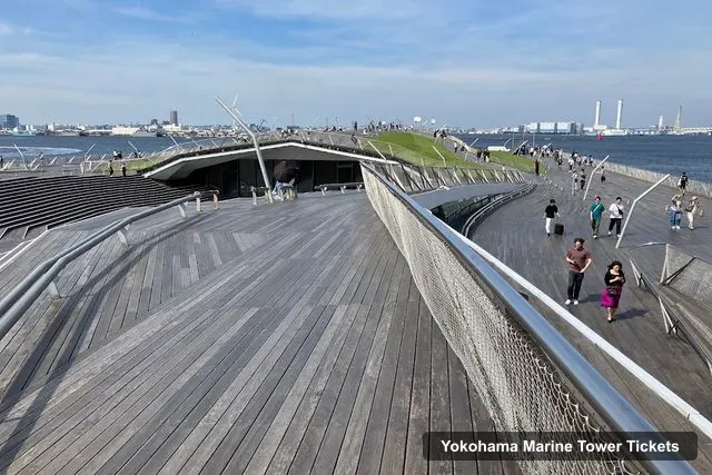 Kujira no Senaka (Whale's Back), Yokohama Marine Tower – Yokohama Marine Tower Tickets